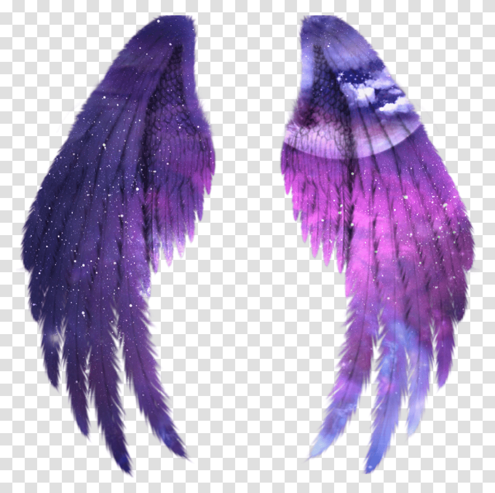 Wings Angel Angelwings Space Galaxy Stars Star Angel Black Wings, Purple, Animal, Accessories Transparent Png