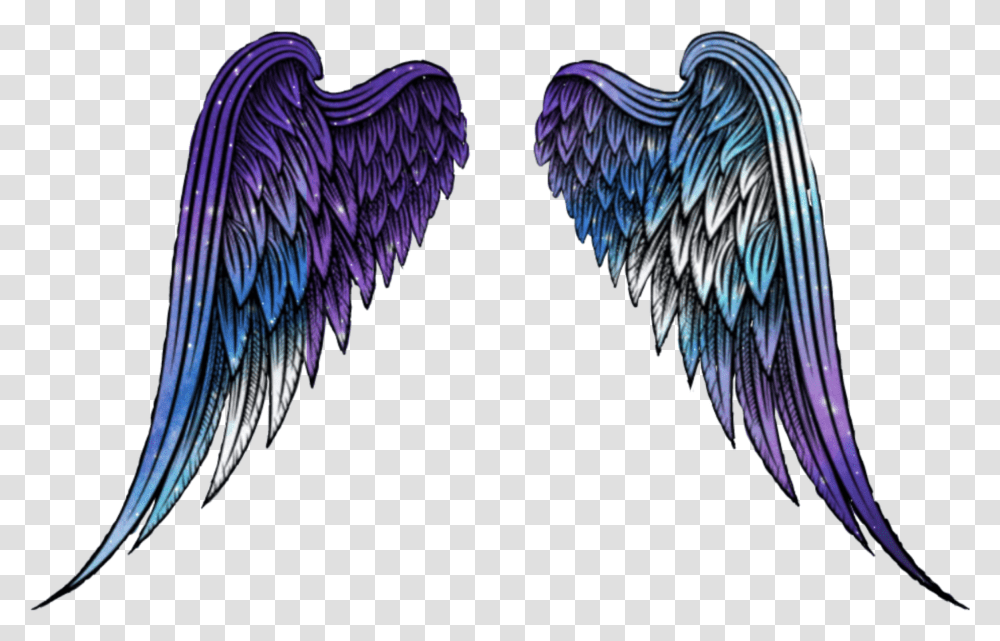 Wings Angel Angelwings Space Galaxy Stars Star Galaxy Angel Wings, Archangel, Bird, Animal Transparent Png