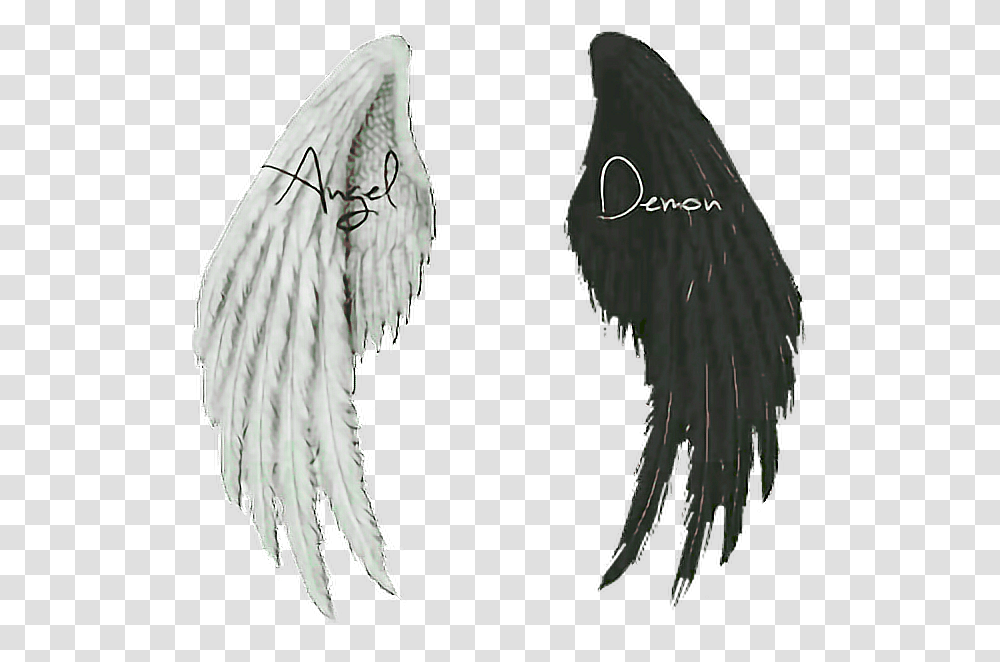 Wings Angel Demon Angel And Demon Wings, Animal, Bird Transparent Png