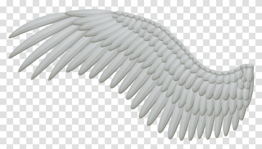 Wings Angel Wing, Bird, Animal, Flying Transparent Png