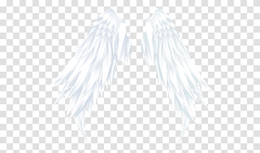 Wings Angelwings Angel Ftestickers Angel, Archangel, Bird, Animal Transparent Png