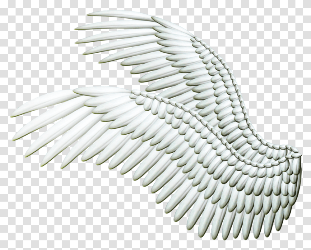 Wings, Bird, Animal, Waterfowl, Flying Transparent Png