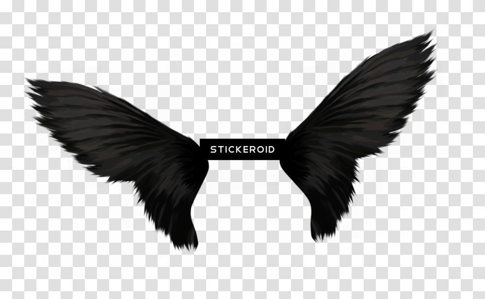 Wings, Bird, Cushion, Screen, Electronics Transparent Png