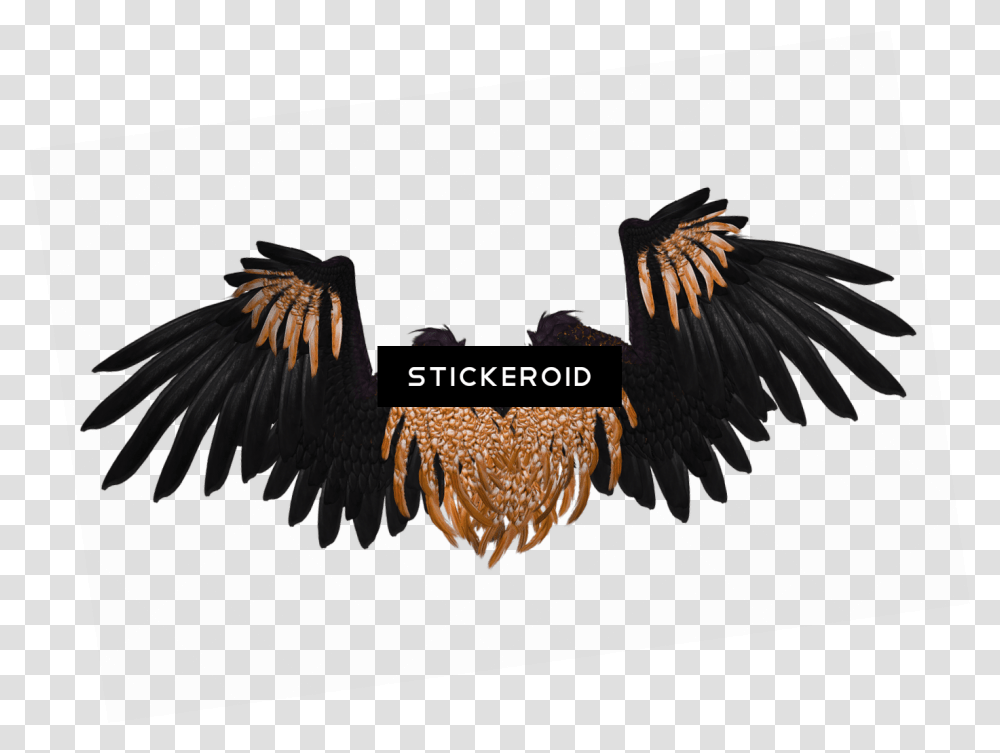 Wings Black And Brown Crow Real Dark Angel Wings, Eagle, Bird, Animal, Vulture Transparent Png