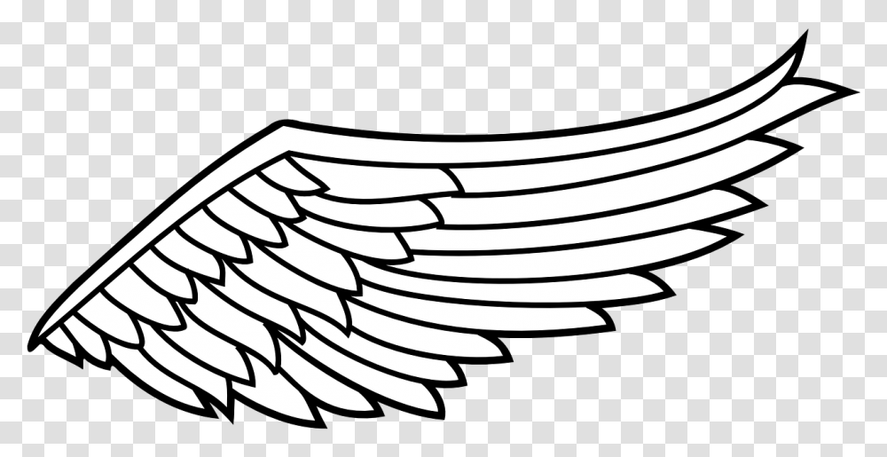Wings Black And White Clipart, Bird, Animal, Banana Transparent Png