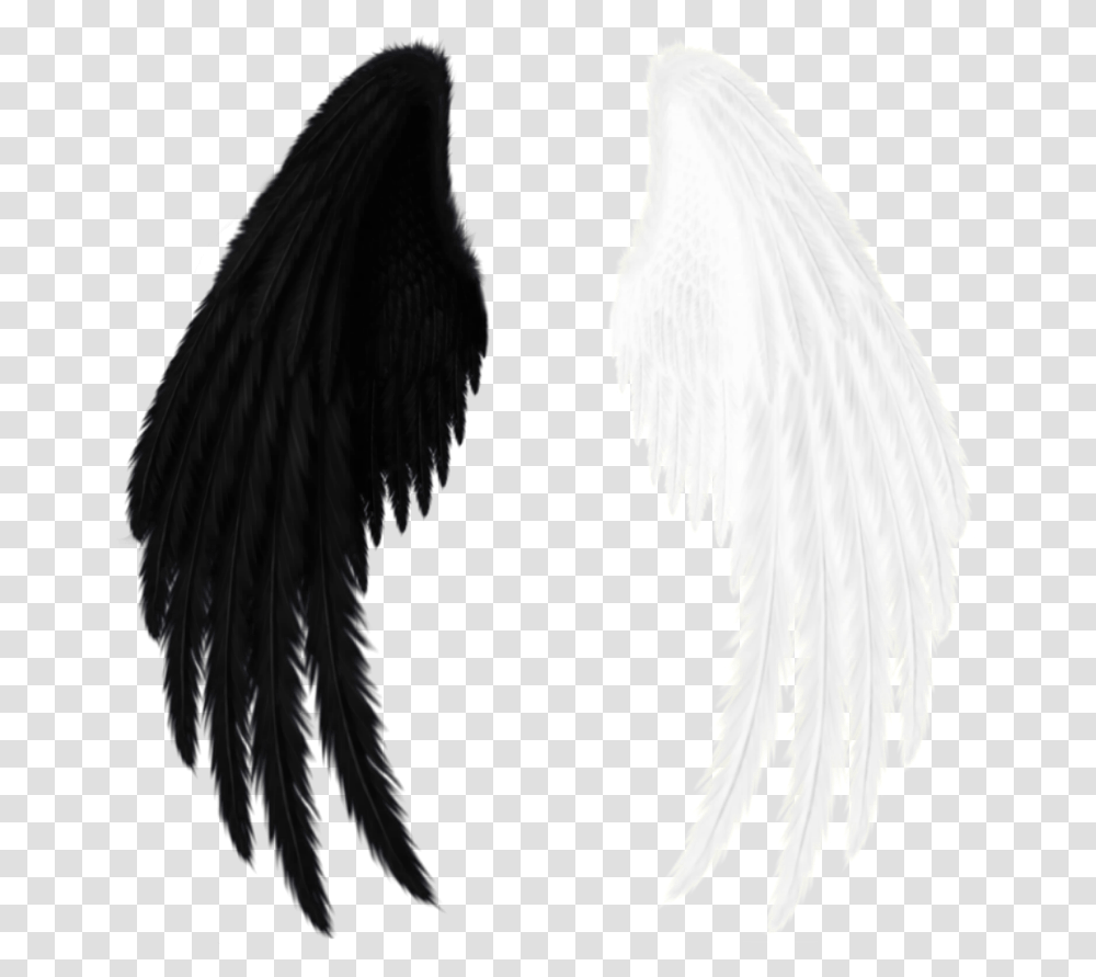 Wings Black White Black And White Red Angel Wings, Eagle, Bird, Animal, Waterfowl Transparent Png