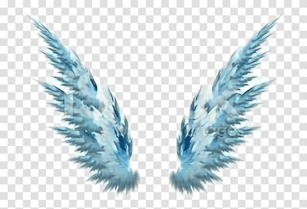 Wings Brasilian Freetoedit Report De Asas Tumblr, Angel, Archangel, Bird Transparent Png