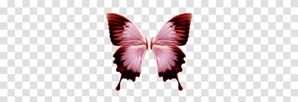 Wings Butterfly Printables Butterfly, Insect, Invertebrate, Animal, Moth Transparent Png