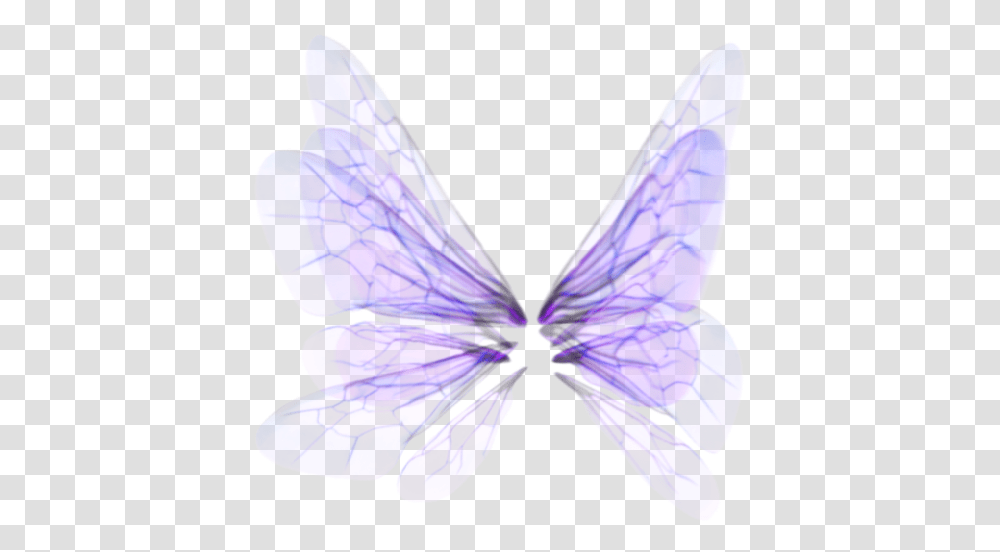 Wings Butterfly, Purple, Plant, Flower, Blossom Transparent Png