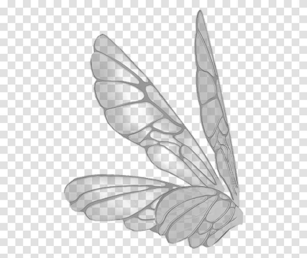 Wings Butterflywings Butterfly Fairy Fairywings Pink Realistic Fairy Wings, Pattern, Ornament, Wasp, Bee Transparent Png