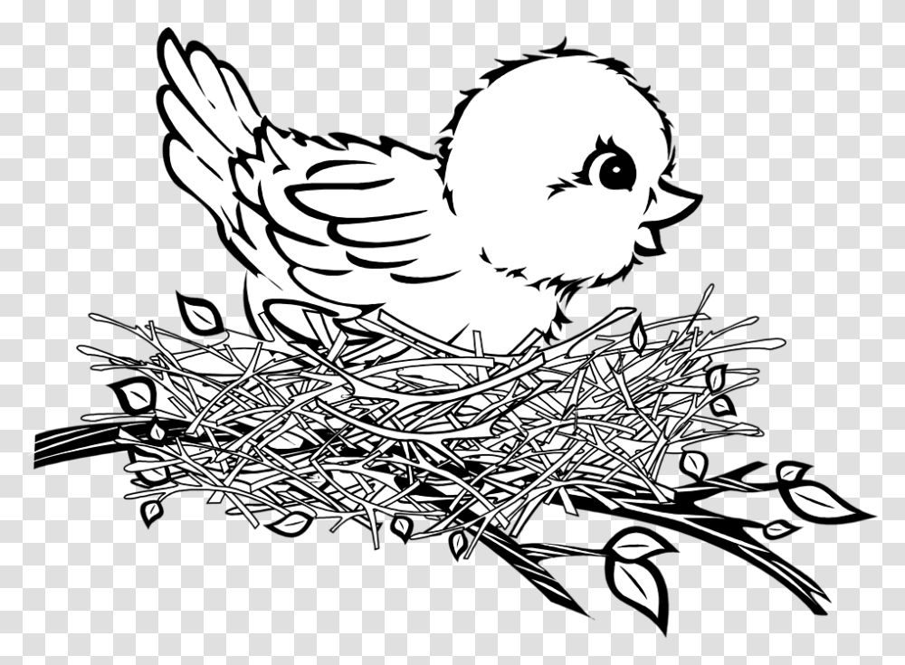 Wings Clipart Bird, Animal, Poultry, Fowl, Chicken Transparent Png