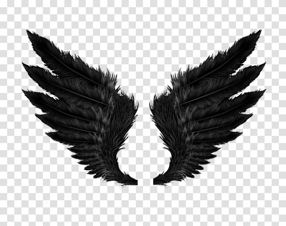 Wings Clipart, Religion, Bird, Animal, Eagle Transparent Png