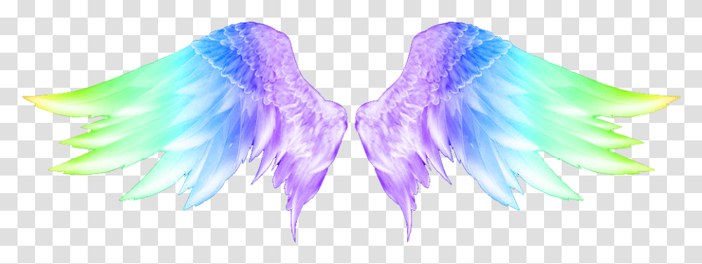 Wings Colorful Colorfulwings Angelwings Carnaval Angel Wings Hd, Bird, Animal, Purple Transparent Png