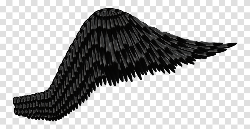 Wings Dark Illustration, Animal, Sea Life, Mammal, Bird Transparent Png