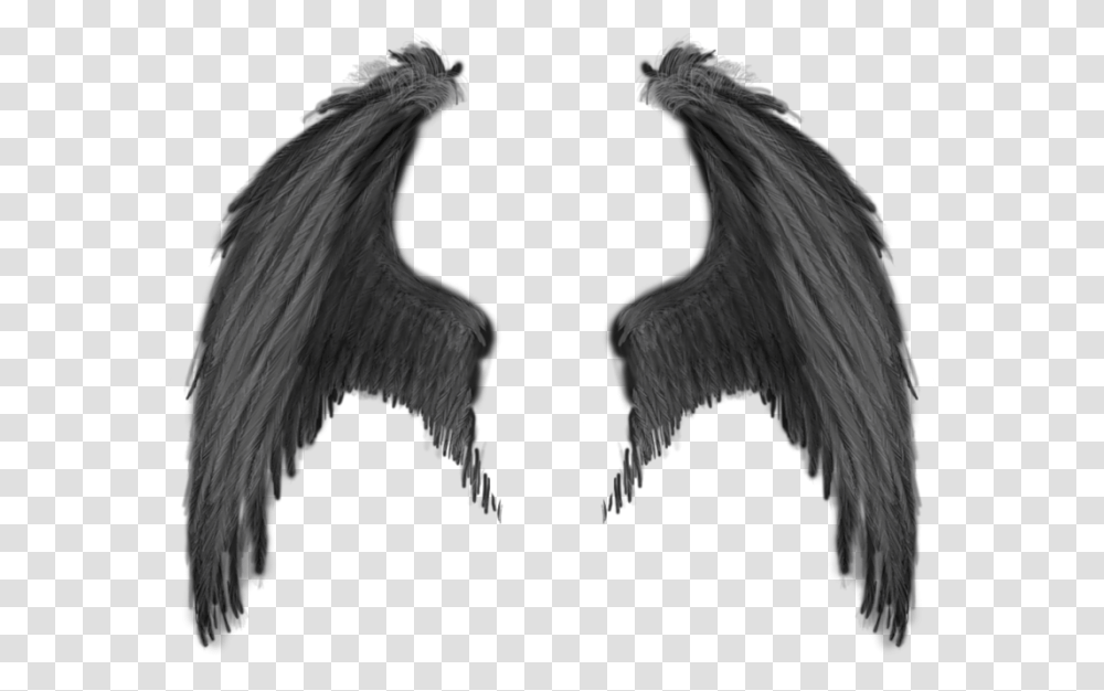 Wings Devil Wings, Bird, Animal, Chicken Transparent Png