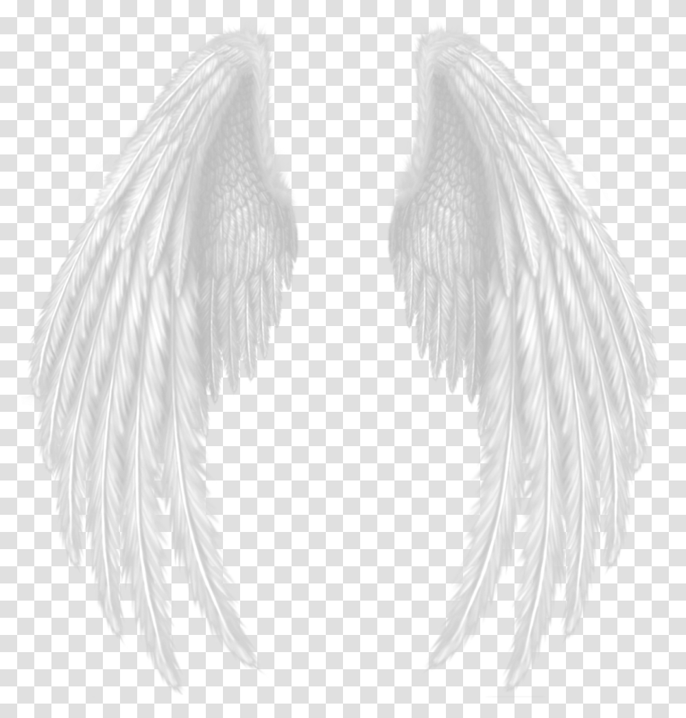 Wings Devil Wings Hd, Angel, Archangel, Bird Transparent Png