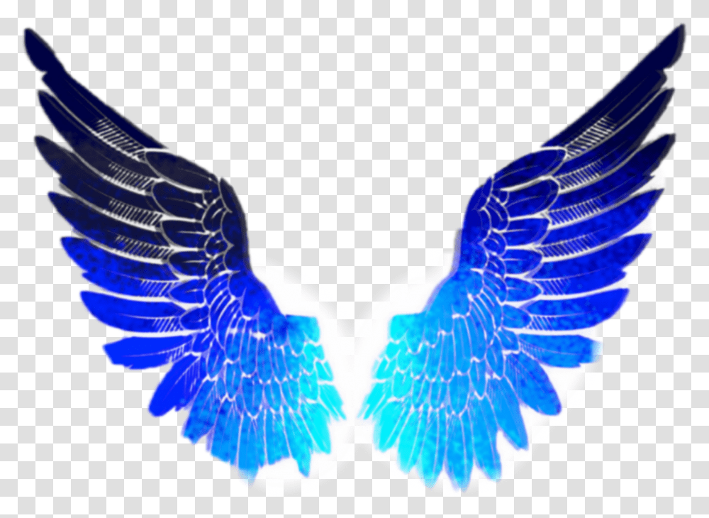 Wings Dollify Unicorn, Bird, Animal, Jay Transparent Png