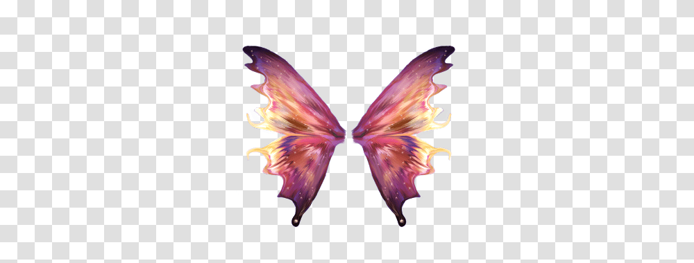 Wings Fairy Fairies Fairywings Cute Kawaii Galaxy Nebul, Ornament, Pattern, Fractal, Bird Transparent Png