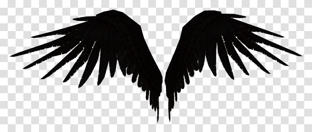 Wings Fallen Angel Blackwearit Parrot, Bird, Animal, Eagle Transparent Png