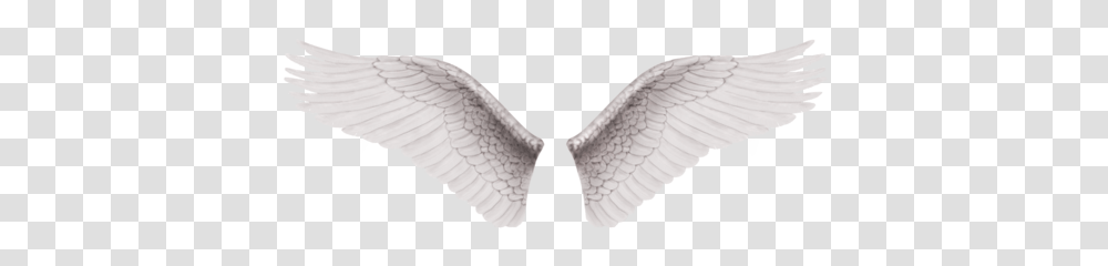 Wings, Fantasy, Animal, Eagle, Bird Transparent Png