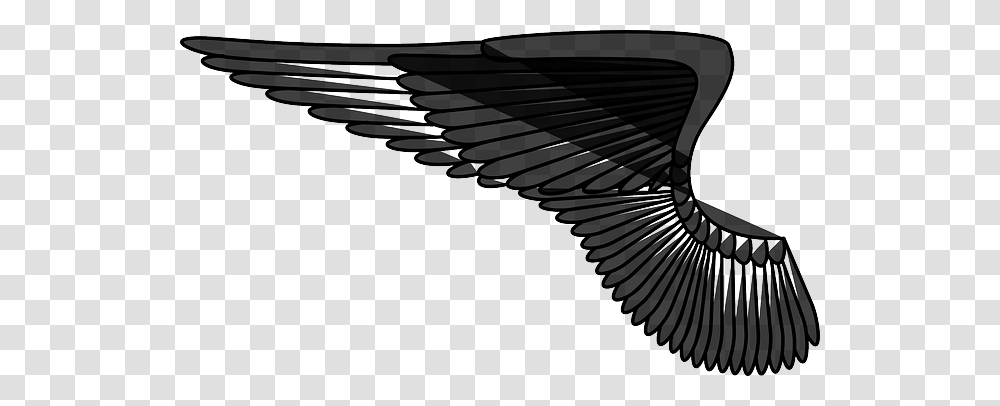 Wings, Fantasy, Animal, Silhouette, Gun Transparent Png