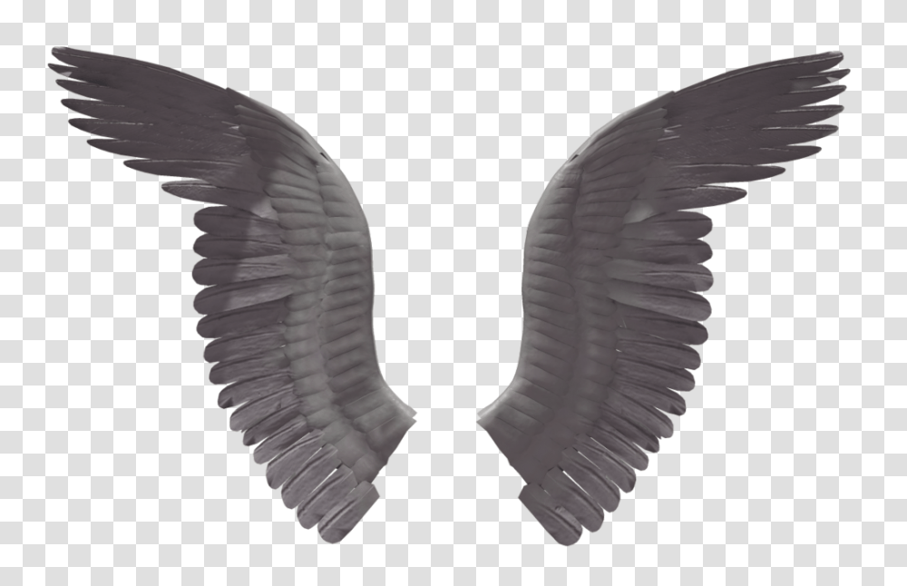 Wings, Fantasy, Bird, Animal Transparent Png