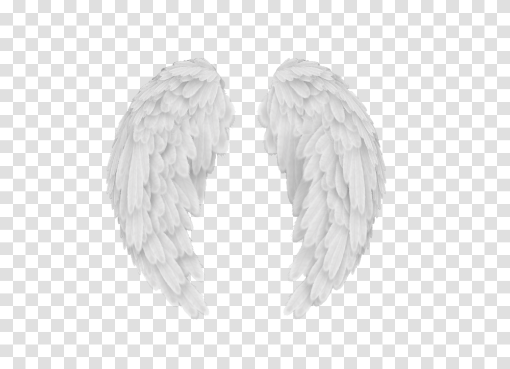 Wings, Fantasy, Bird, Animal Transparent Png