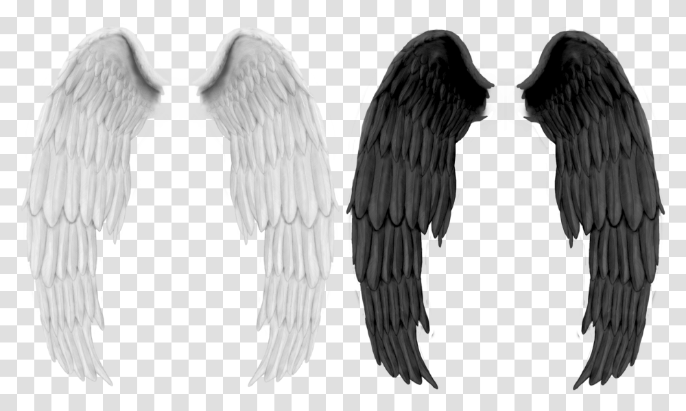 Wings, Fantasy, Bird, Animal, Eagle Transparent Png