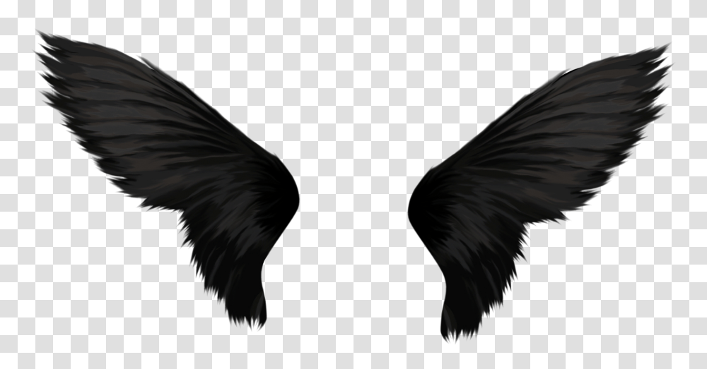Wings, Fantasy, Bird, Animal, Hair Transparent Png