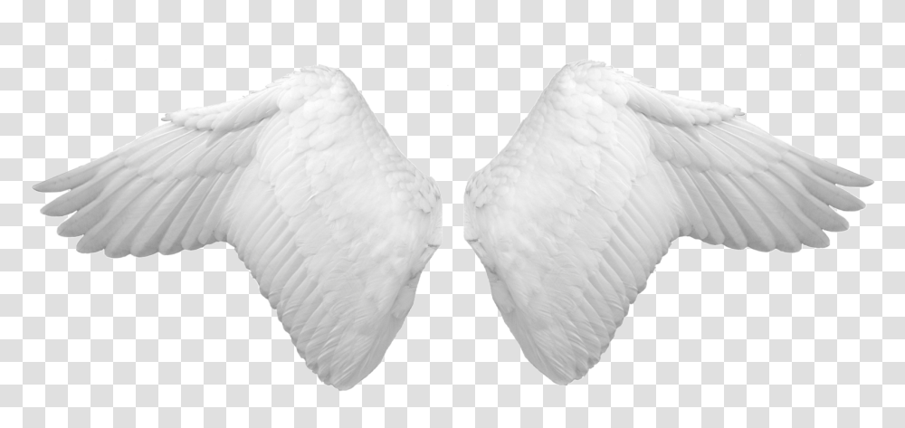 Wings, Fantasy, Bird, Animal, Pillow Transparent Png