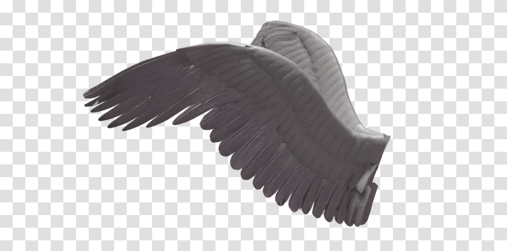 Wings, Fantasy, Bird, Animal, Waterfowl Transparent Png