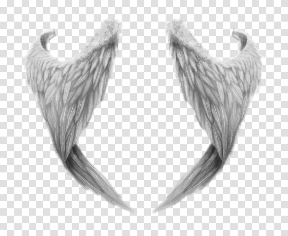 Wings, Fantasy, Chicken, Poultry, Fowl Transparent Png