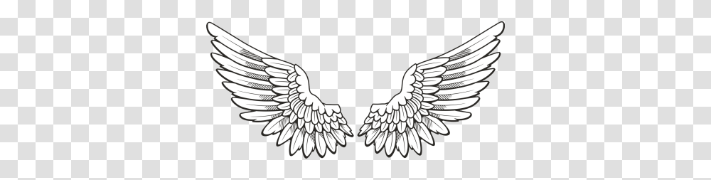 Wings, Fantasy, Eagle, Bird, Animal Transparent Png
