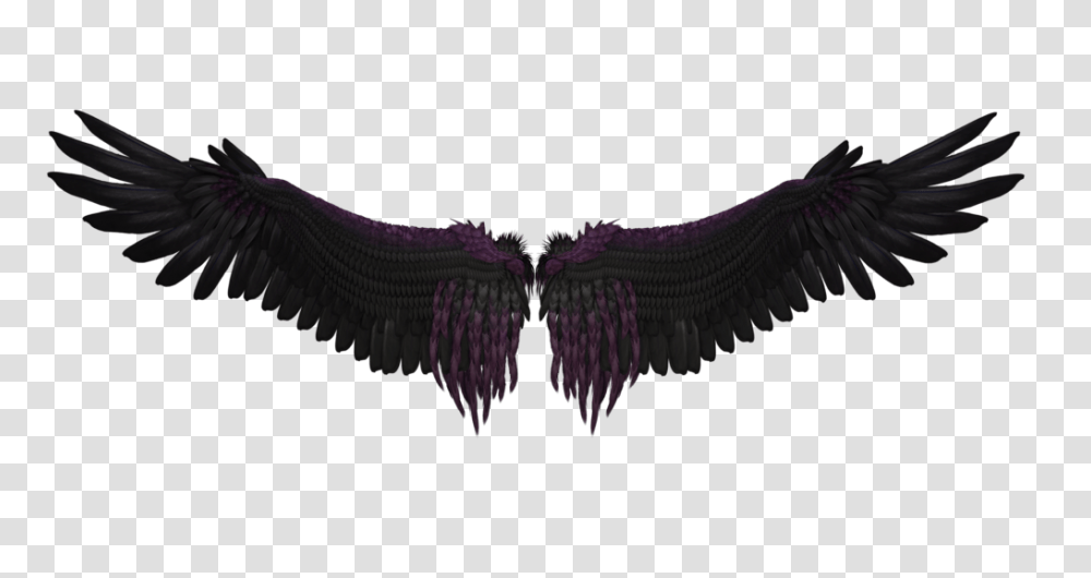 Wings, Fantasy, Vulture, Bird, Animal Transparent Png