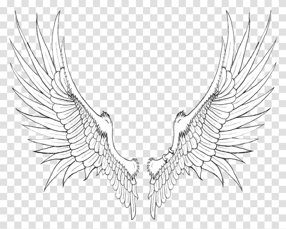 Wings Free Background Black Wing, Eagle, Bird, Animal, Symbol Transparent Png