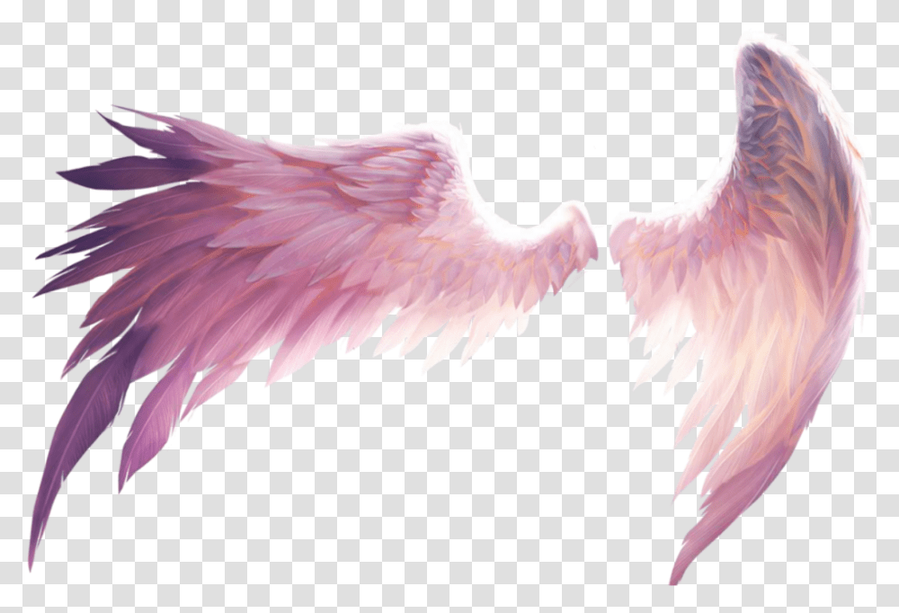 Wings Freedom Angel Fall Wing Demon Fly Birds Angel Wings Picsart, Animal, Flamingo, Flying, Stork Transparent Png