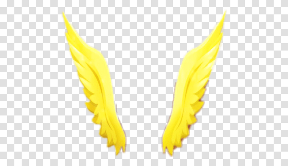 Wings Gold Snapchat Filter Angel Lense, Fire, Flame, Costume Transparent Png