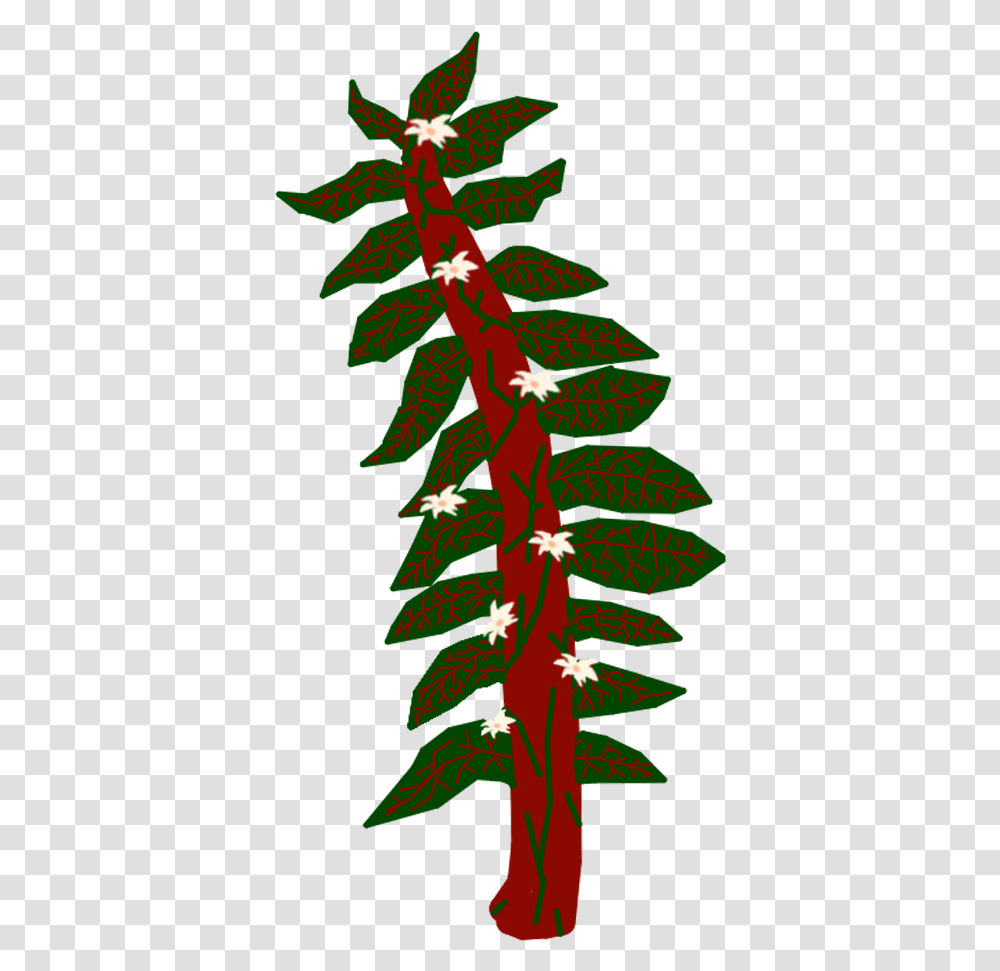 Wings Of Fire Wiki, Tree, Plant, Ornament, Leaf Transparent Png