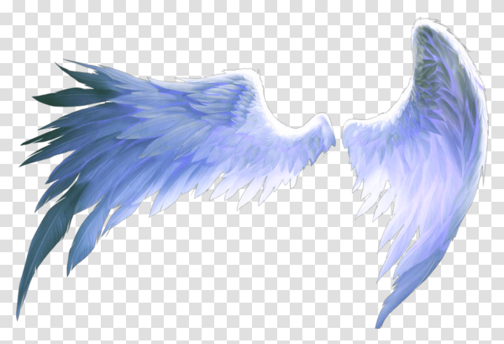 Wings Of Freedom Angel Birds Blue Aesthetics Anime Wings, Animal, Eagle, Flying, Crane Bird Transparent Png