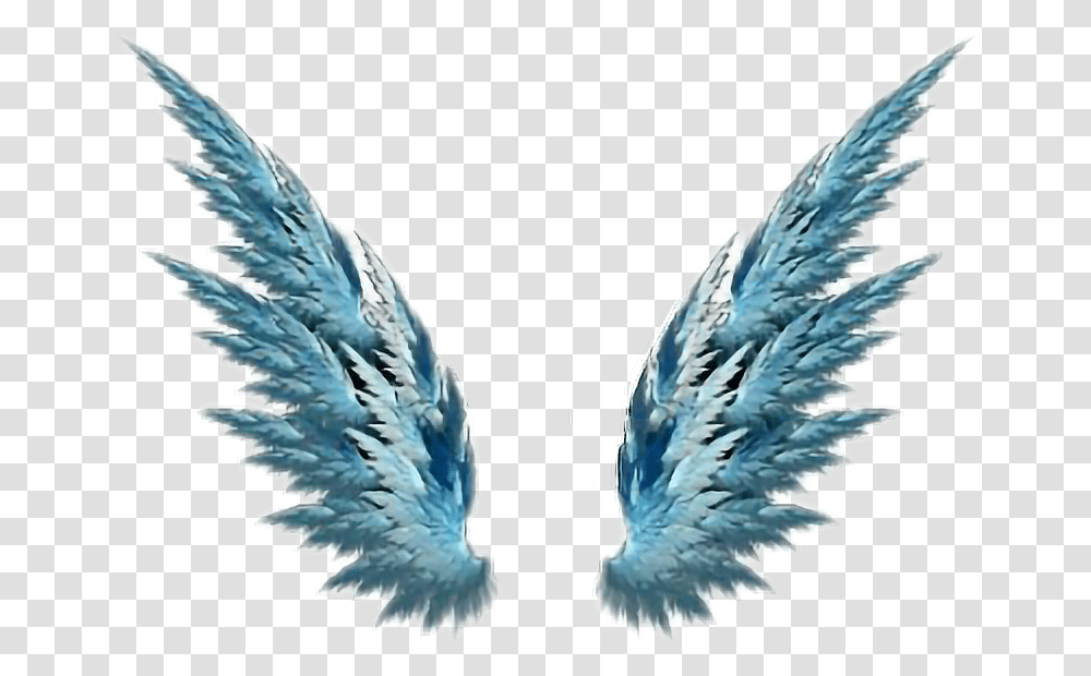 Wings Of Freedom Angel Wings Tgat Go Up, Bird, Animal, Archangel Transparent Png