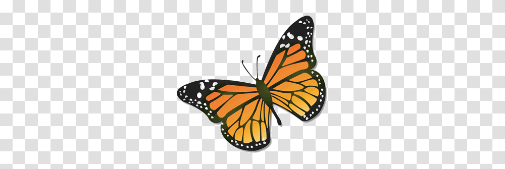 Wings Of Mackinac More About Monarchs, Butterfly, Insect, Invertebrate, Animal Transparent Png