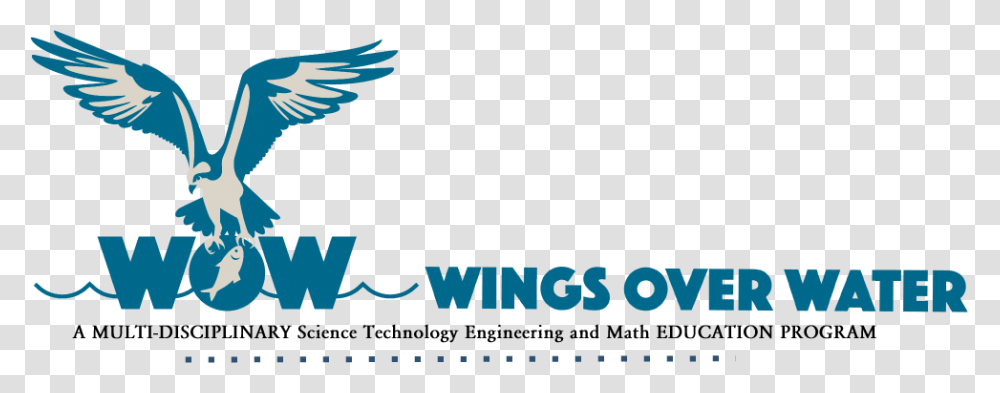 Wings Over Water Logo Poster, Bird, Animal, Eagle Transparent Png