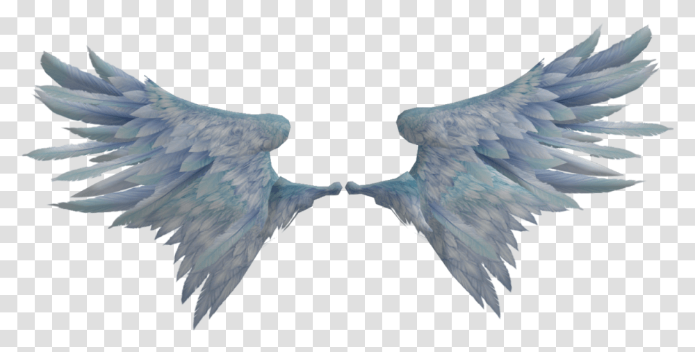 Wings Realistic, Bird, Animal, Ice, Outdoors Transparent Png