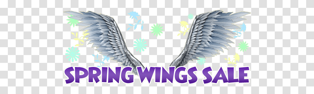 Wings Sale Language, Bird, Animal, Art, Eagle Transparent Png