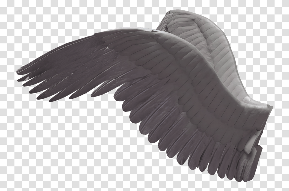Wings Side Angel Wings Side View, Bird, Animal, Flying, Waterfowl Transparent Png