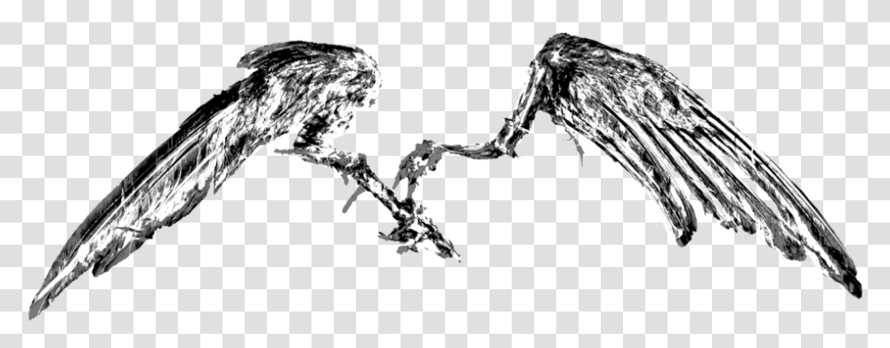 Wings, Smoke, Smoking, Bird, Animal Transparent Png