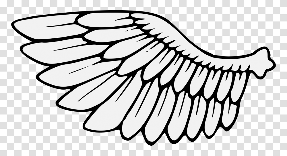 Wings, Logo, Trademark, Emblem Transparent Png