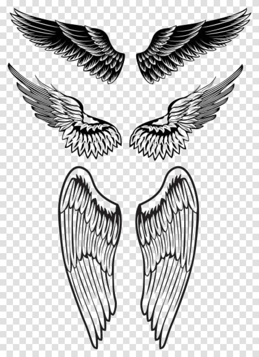 Wings Tattoo Background Image Wings On Chest Tattoo Small, Bird, Animal, Drawing Transparent Png