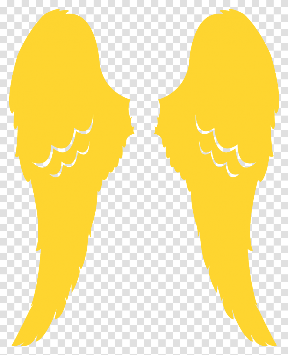 Wings Vector, Person, Human Transparent Png