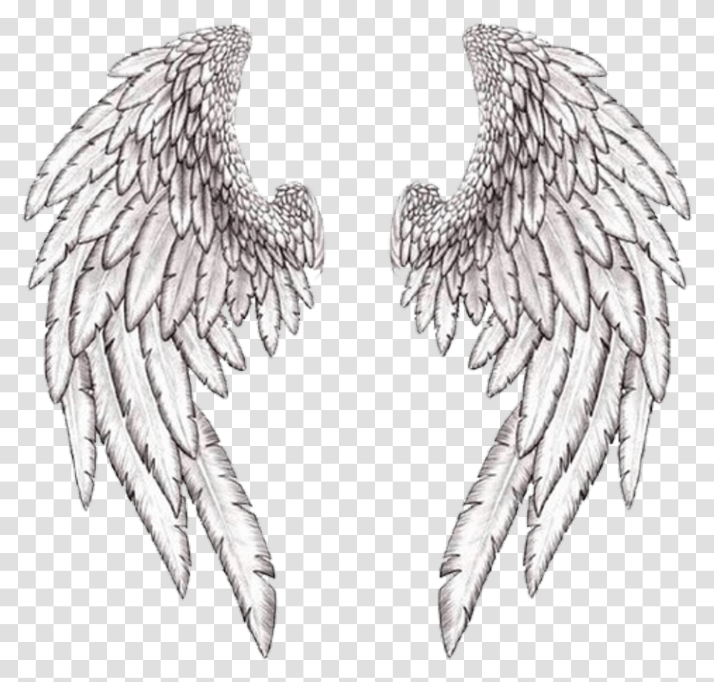 Wings Wing Angle Freetoedit Guardian Angel Wings, Bird, Animal, Eagle Transparent Png
